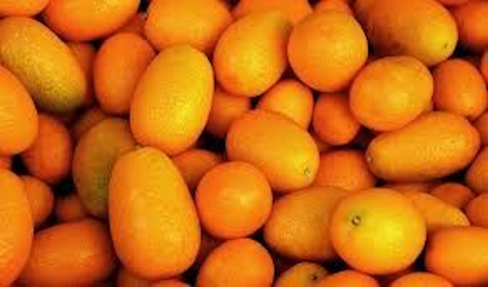 Kumquat, 